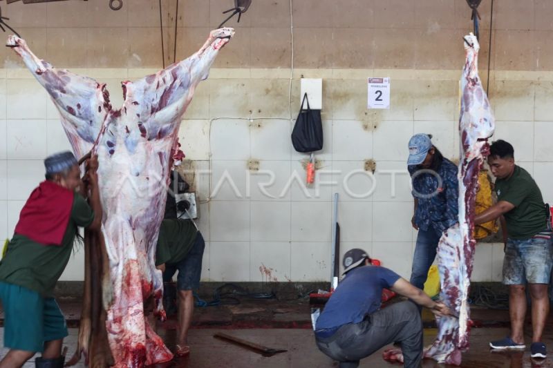 Simak kiat menikmati daging kurban sehat dan bebas kolesterol