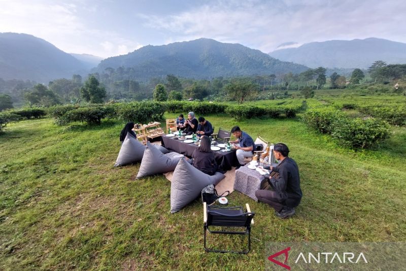 Menikmati hangatnya teh di tengah perkebunan ala Plataran Puncak Bogor