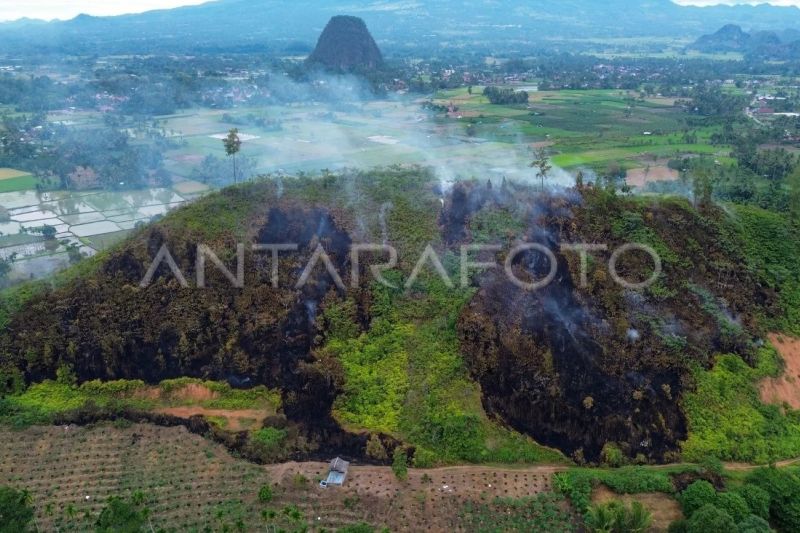 Kebakaran hutan dan lahan di Limapuluhkota