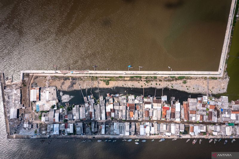 Ekonomi kemarin, kajian Giant Sea Wall hingga bantuan beras RI ke Palestina