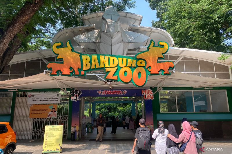 Pemkot Bandung siap ambil alih Bandung Zoo