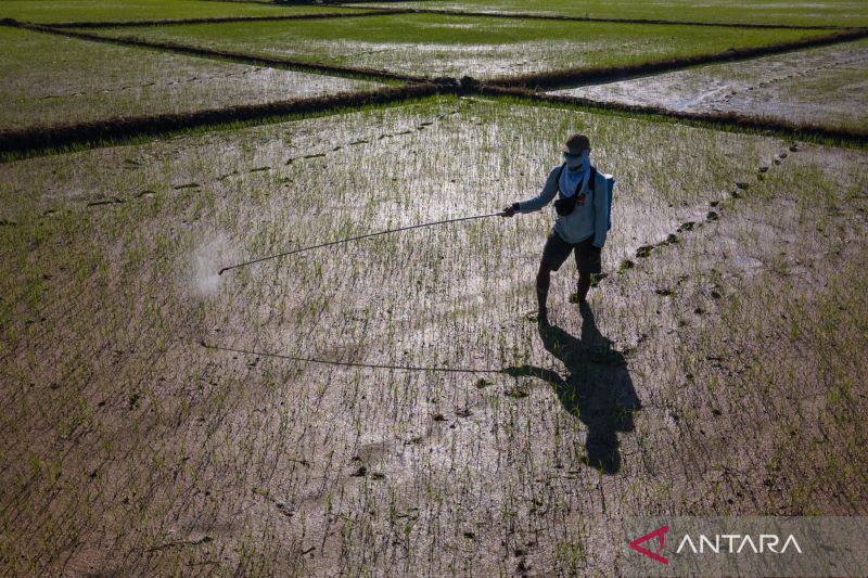 Kuota tambahan cetak sawaj baru di Konsel