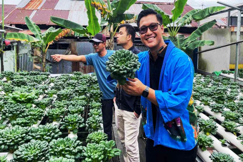 UMKM binaan Pertamina Banjarmasin manfaatkan teknologi hidroponik