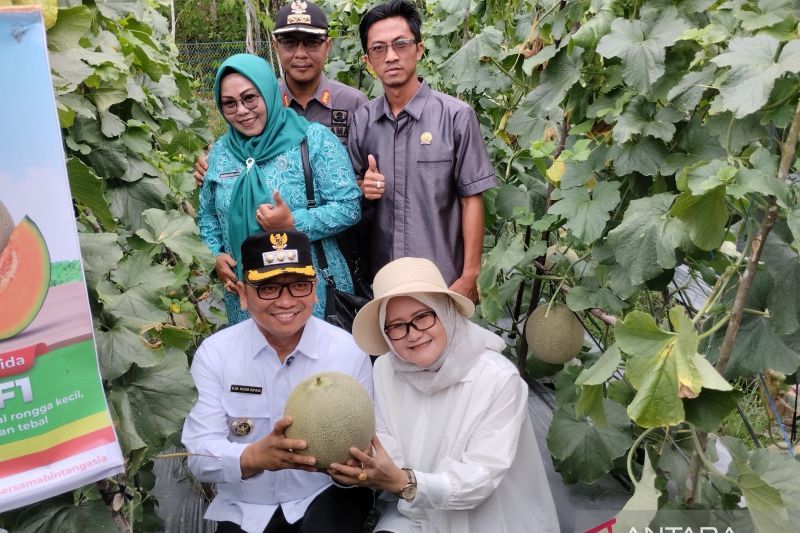 Kecamatan Pugaan siapkan lahan 200 hektare untuk ketahanan pangan