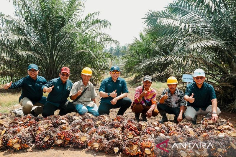 PTPN IV Regional III Jadi Pilot Project Wujudkan Produktivitas 7 Ton CPO