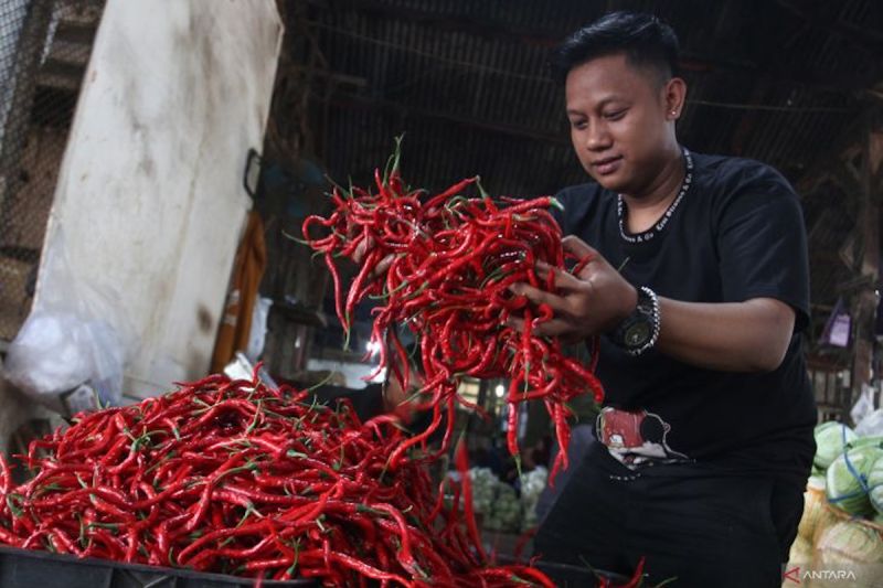 Harga pangan hari ini: Cabai rawit Rp58.306/kg, bawang merah Rp42.122/kg