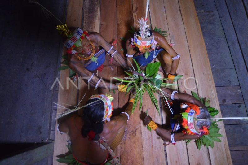 Aksi turuk laggai Sikerei Matotonan