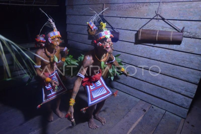 Aksi turuk laggai Sikerei Matotonan