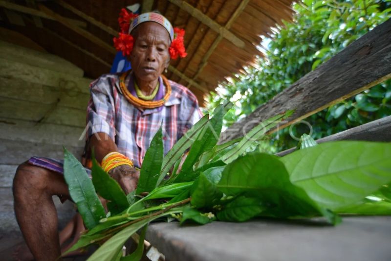 Ritual Lia Siboito di pedalaman Mentawai