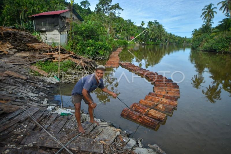 Pemanfaatan sagu di Kepulauan Mentawai