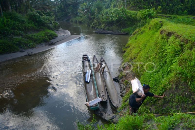 Pemanfaatan sagu di Kepulauan Mentawai
