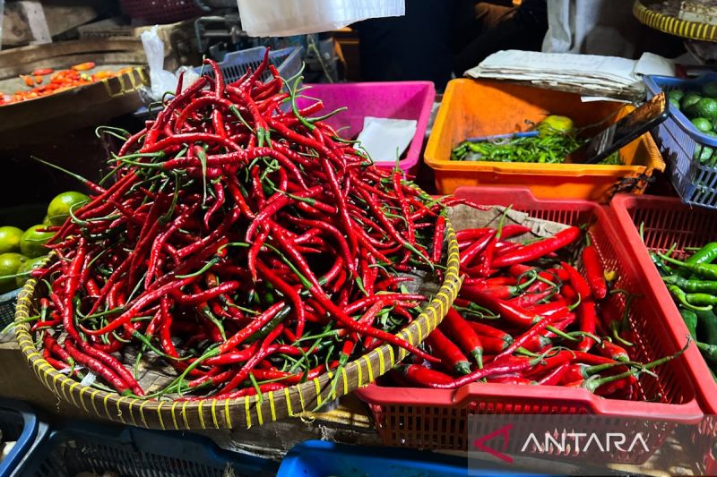 Harga pangan hari ini:  Cabai rawit Rp65.880/kg, bawang merah Rp42.629/kg