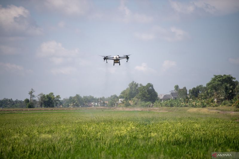 Kunjungan Menteri Pertanian Palestina ke Ogan Ilir