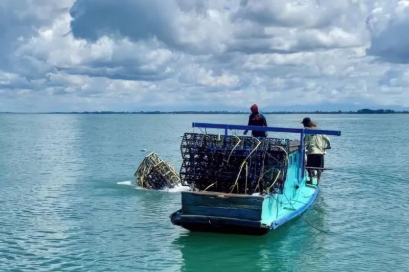 Kalsel kemarin dari beasiswa 1.000 sarjana hingga pemulihan ekosistem laut