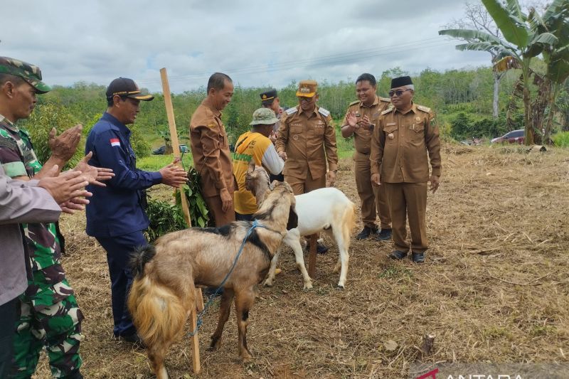 Kalsel kemarin dari ketahanan pangan hingga Gerakan Masyarakat "Rambai Emas"