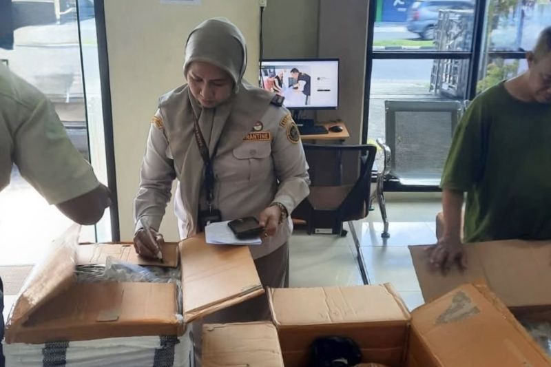 Karantina Kalsel sertifikasi 401 kg sarang walet tujuan Jawa-Sumatera