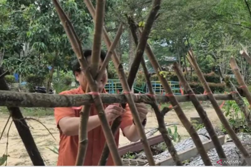 Legislator Kalsel kembangkan pembibitan waru guna polybag berbahan purun