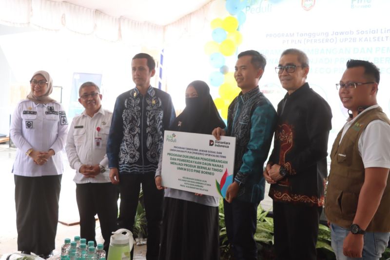 Pemprov Kalsel kenalkan manfaat daun nanas kepada komunitas kreatif