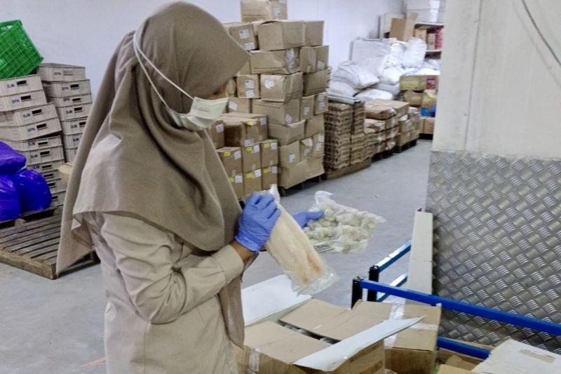 Karantina Kalsel periksa 2.209 kilogram ikan olahan asal Surabaya