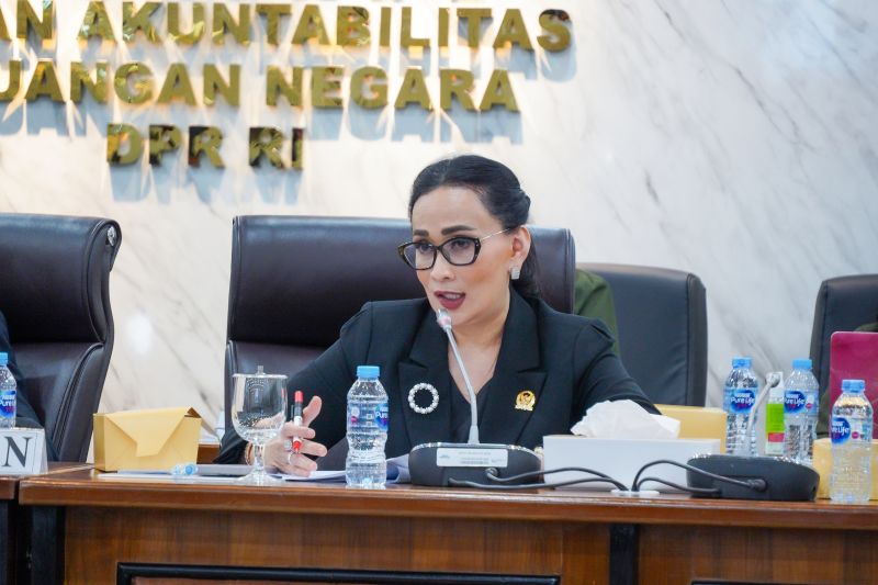 Anggota DPR: Negara tak boleh abaikan hukum demi eks marinir Satria Arta