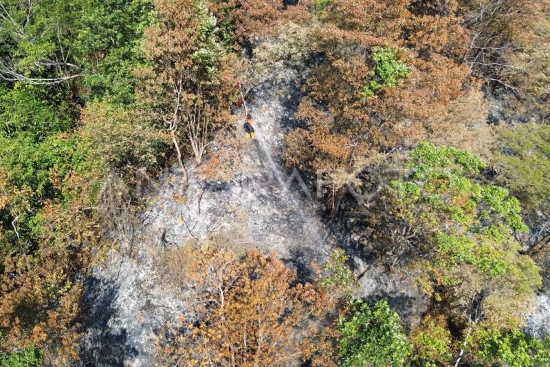 Kebakaran hutan di Lembah Harau