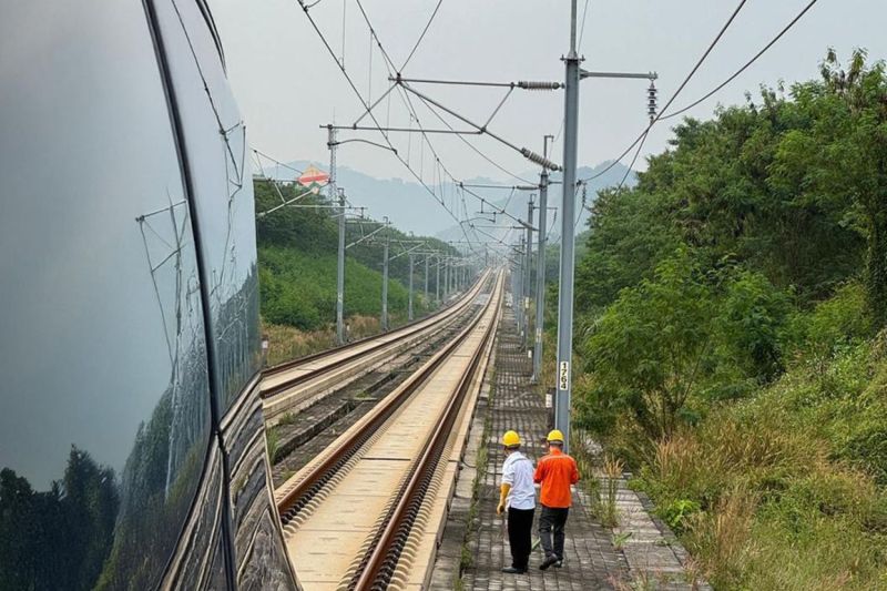 Gara-gara tabrak biawak, Whoosh telat 40 menit