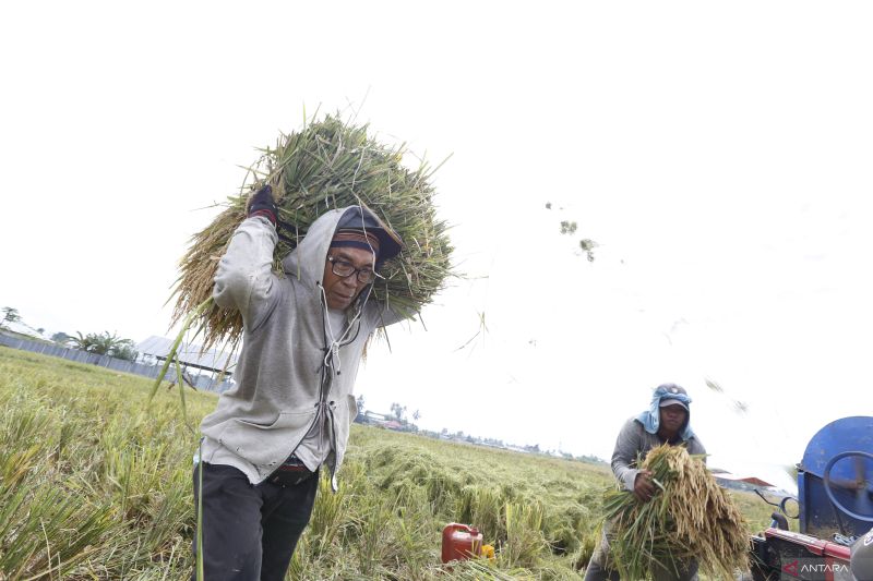 Tingkat ketimpangan pengeluaran di Gorontalo turun 0,021 poin