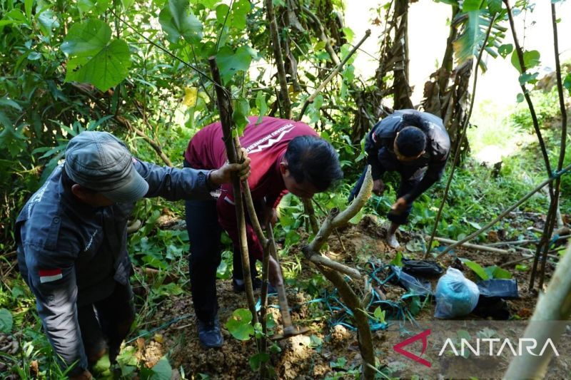Firman Yusi tanam pohon di bantaran Sungai Tabalong Kalsel