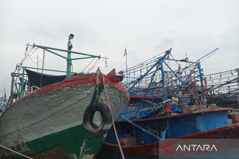 Pemkot Cirebon menargetkan retribusi TPI Kejawanan capai Rp1,39 miliar