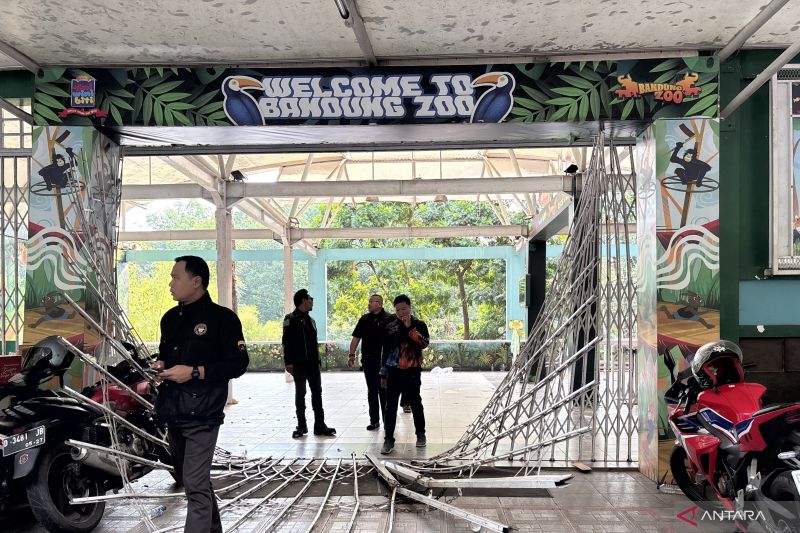 Pemkot membuka opsi surati Kemenhut cabut izin pengelolaan Bandung Zoo