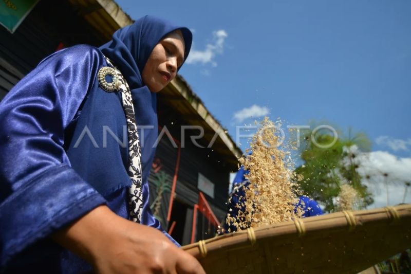 Tradisi manumbuak ampiang