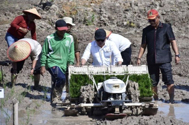 kapuas-realisasikan-4491-hektare-cetak-sawah-dukung-swasembada-pangan