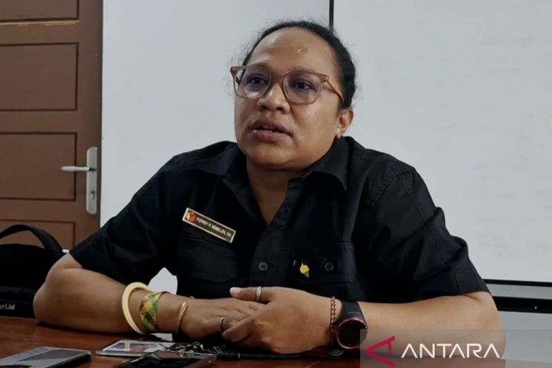 Bawaslu temukan dugaan pelanggaran PSU Pilgub Papua