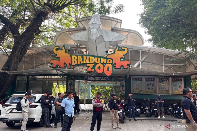 YMT: Pendapatan Bandung Zoo cukup membiayai perawatan satwa