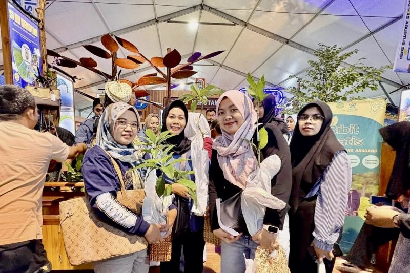 Dishut Kalsel bagikan ribuan bibit pohon dukung penghijauan