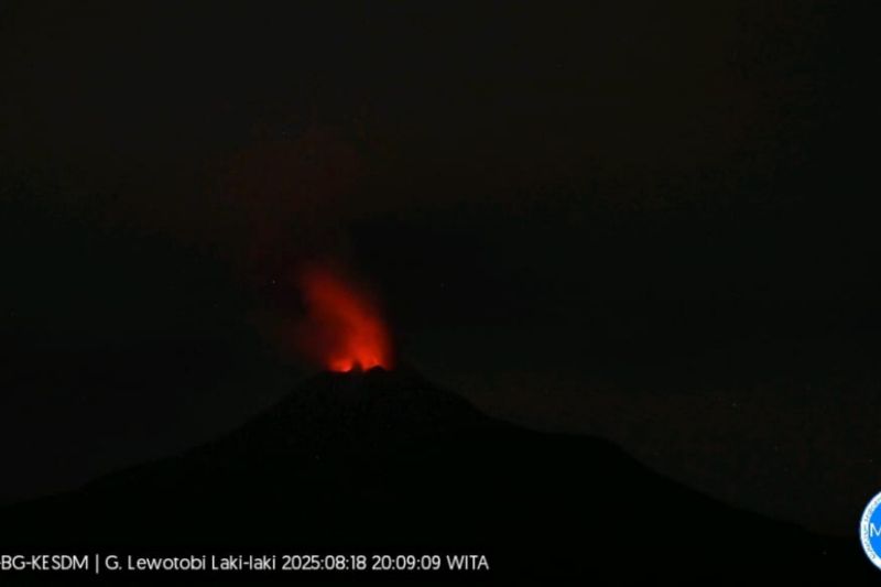 Erupsi Gunung Lewotobi: enam penerbangan batal