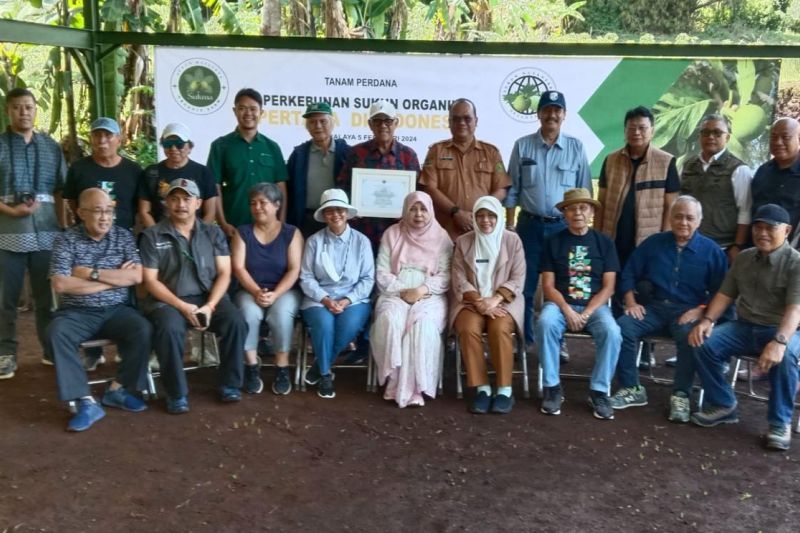 Sukun bisa menjadi solusi ketahanan pangan dan lingkungan