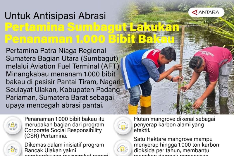 Untuk antisipasi abrasi Pertamina Sumbagut lakukan penanaman 1.000 bibit bakau
