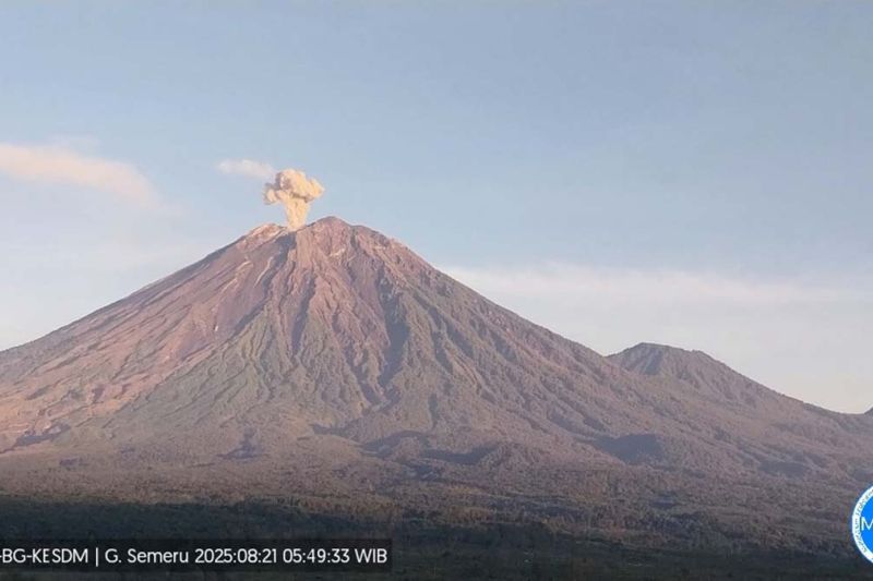 Gunung Semeru hari ini erupsi empat kali dengan tinggi letusan hingga 1 km