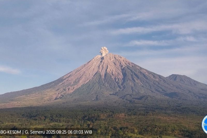 Gunung Semeru Senin pagi ini kembali erupsi dengan letusan setinggi 700 meter