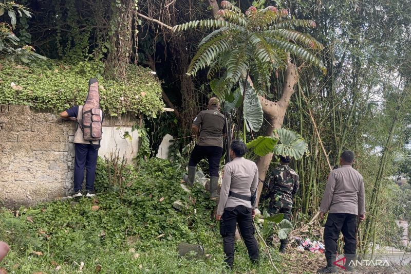 Kronologi macan tutul lepas dari kandang Lembang Park and Zoo