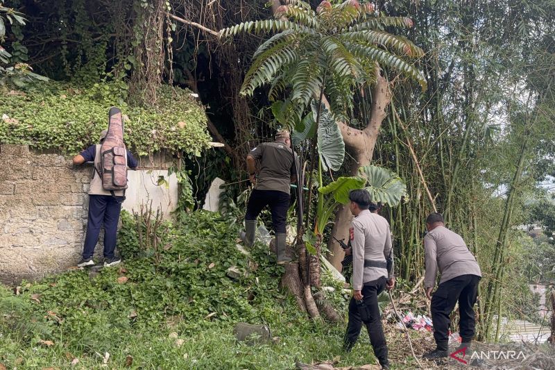 BBKSDA gunakan drone thermal untuk mencari macan tutul lepas di Lembang