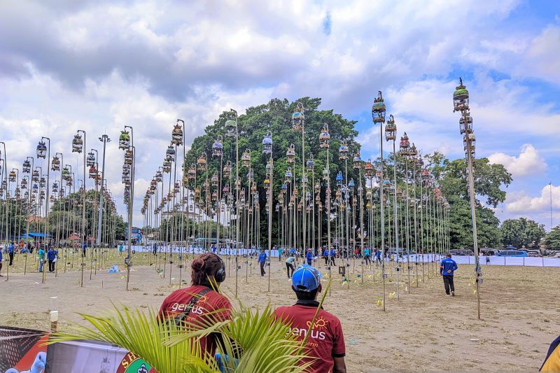 Burung Perkutut Piala Raja Hamengku Buwono Cup 2025