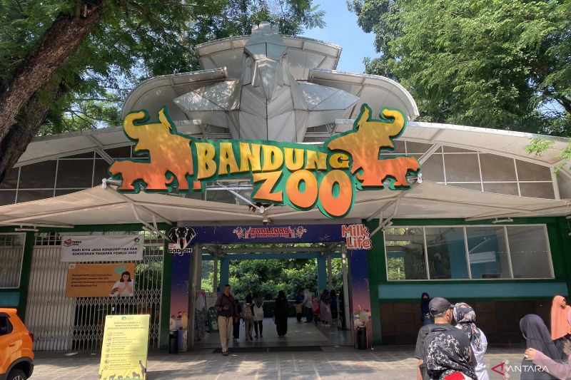 Ragunan-KBS sebut belum ada kerja sama pengelolaan Bandung Zoo