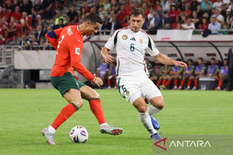 Susunan pemain Hungaria vs Irlandia