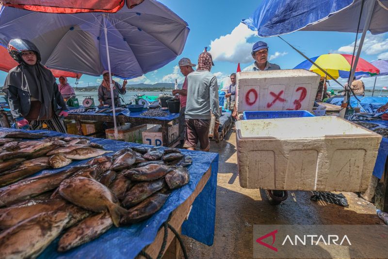 Revitalisasi Pasar Pelelangan Ikan Sodoha Kendari