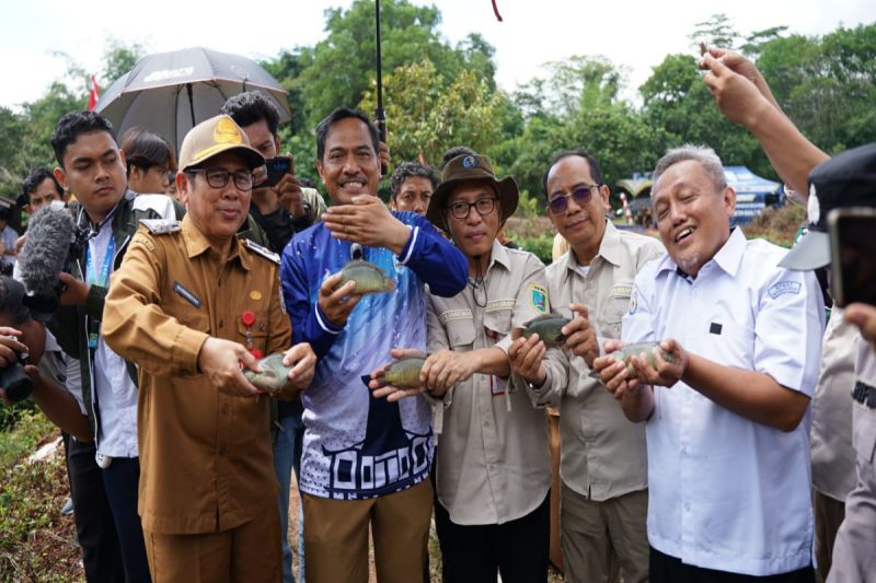 1,3 ton ikan papuyu dipanen di Karang Intan Banjar