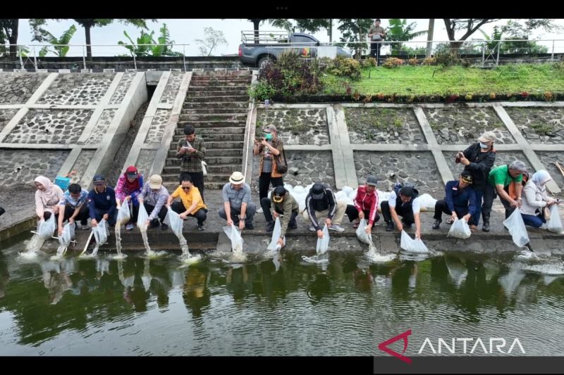 Pemkab Bandung tebar ribuan benih ikan mendukung Program MBG dan Kopdes