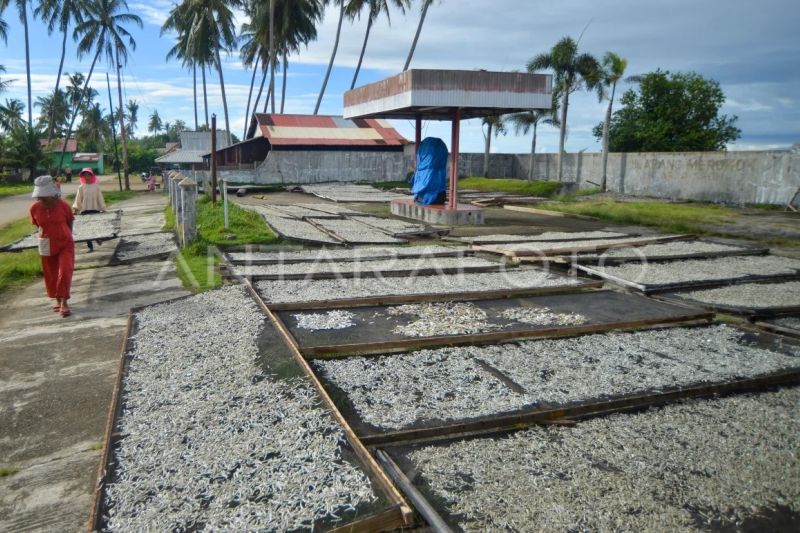 Produksi ikan kering terkendala cuaca di Padang