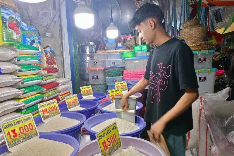 Harga pangan hari ini: Beras premium turun jadi Rp15.656/kg, cabai rawit Rp42.344/kg